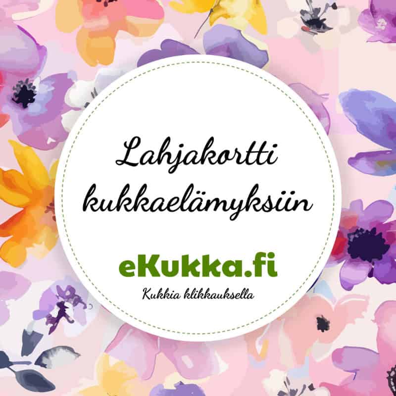 Uutta! eKukka-lahjakortti on nyt käytettävissä myös kivijalkaliikkeissä